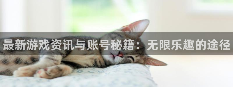高德娱乐平台负责人：最新游戏资讯与账号秘籍：无限乐趣的途径