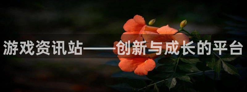 手机高德娱乐下载安装：游戏资讯站——创新与成长的平台