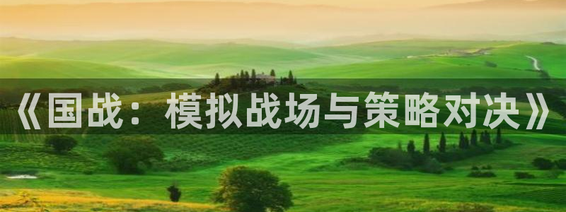 高德娱乐平台登录入口：《国战：模拟战场与策略对决》