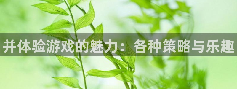 高德娱乐是什么：并体验游戏的魅力：各种策略与乐趣