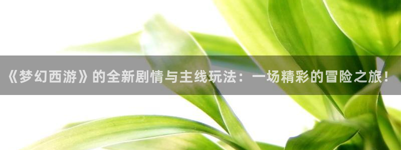 高德娱乐登陆：《梦幻西游》的全新剧情与主线玩法：一场精彩的冒