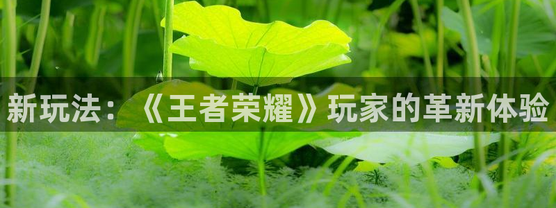 高德娱乐平台登录：新玩法：《王者荣耀》玩家的革新体验
