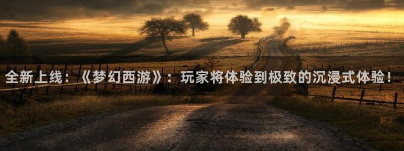 高德娱乐网页登录入口：全新上线：《梦幻西游》：玩家将体验到极