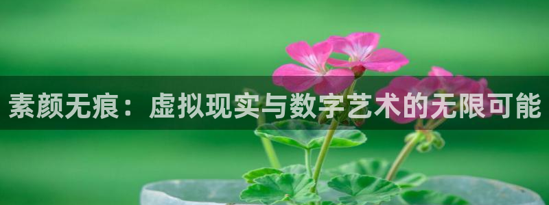 高德娱乐平台登录入口：素颜无痕：虚拟现实与数字艺术的无限可能