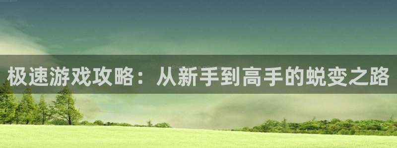 高德娱乐2登录：极速游戏攻略：从新手到高手的蜕变之路