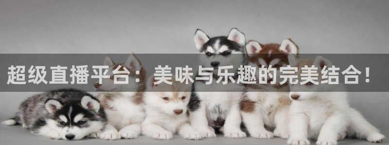 so米体育直播篮球：超级直播平台：美味与乐趣的完美结合！