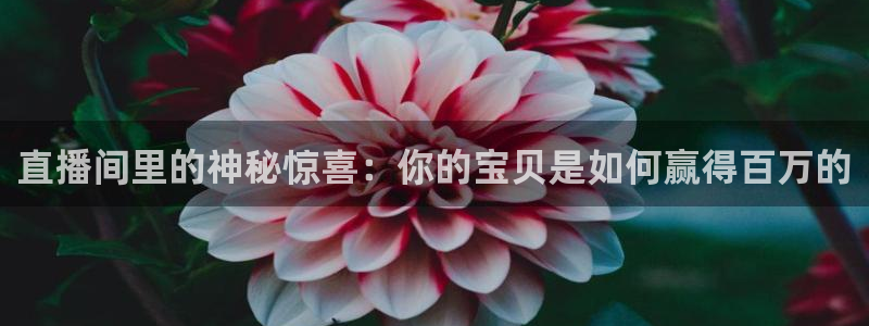 搜米so米体育：直播间里的神秘惊喜：你的宝贝是如何赢得百万的