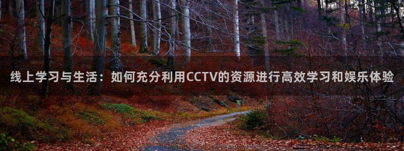 so米篮球体育直播nba：线上学习与生活：如何充分利用CCTV的资源进行高效学习和娱乐体验