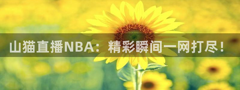 so米体育在线高清直播：山猫直播NBA：精彩瞬间一网打尽！