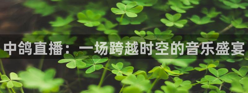 so米体育nba直播吧：中鸽直播：一场跨越时空的音乐盛宴