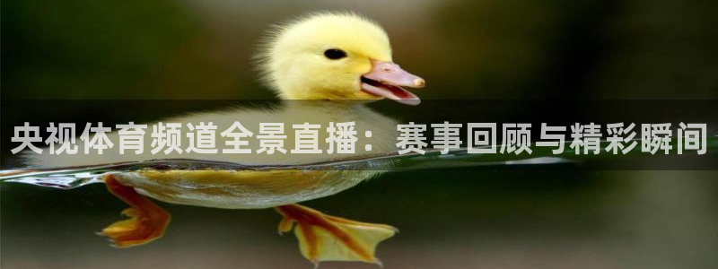 so米体育直播观看：央视体育频道全景直播：赛事回顾与精彩瞬间