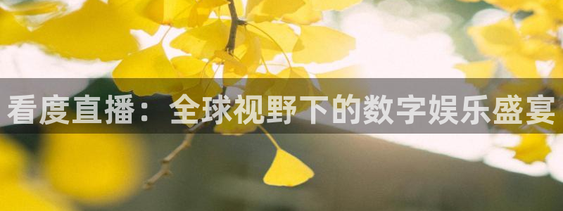 so米体育直播视频：看度直播：全球视野下的数字娱乐盛宴