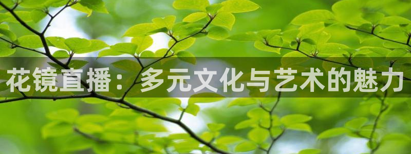 so米体育在线直播：花镜直播：多元文化与艺术的魅力
